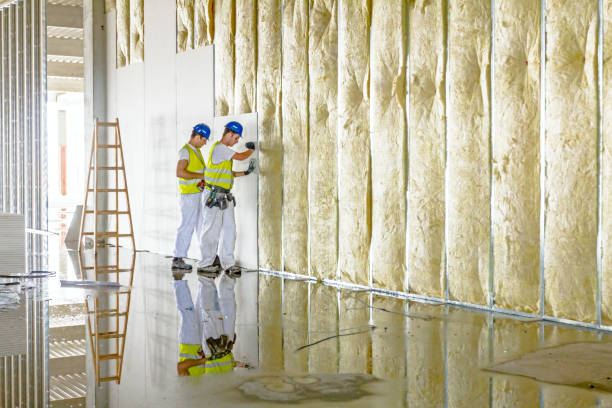 Best Insulation Installation Services in Keller, TX